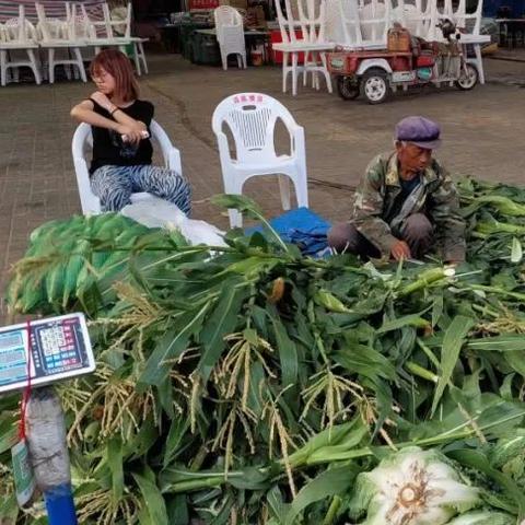 府谷县最新房源出售，优质投资与居住选择