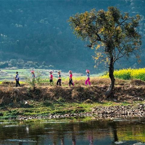成昆高速公路最新动态,建设进展、规划调整与未来展望