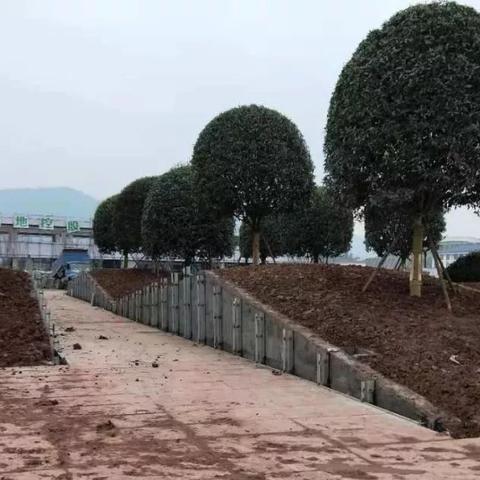 丽江至攀枝花实时路况更新报告