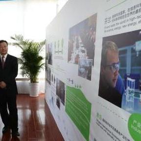 全球经济趋势与主要国家发展动态深度解析，深度国际最新一期报道