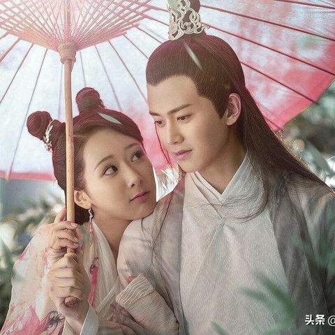 秋蝉电视剧最新动态，深度报道全面解析