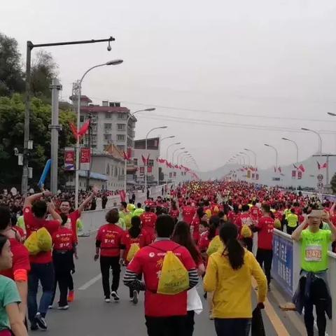 荆州规划局最新动态揭秘，最新消息全面解读