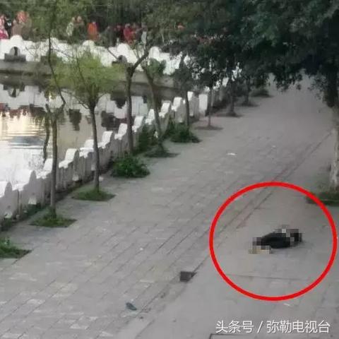 太伏中学学生死亡事件最新进展，最新报道揭示事件真相