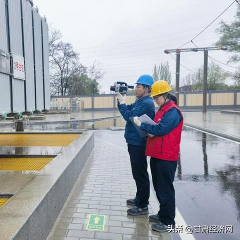 国网巡视组最新动态深度解读