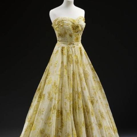 小说你的爱如星光最新章节及内容概述