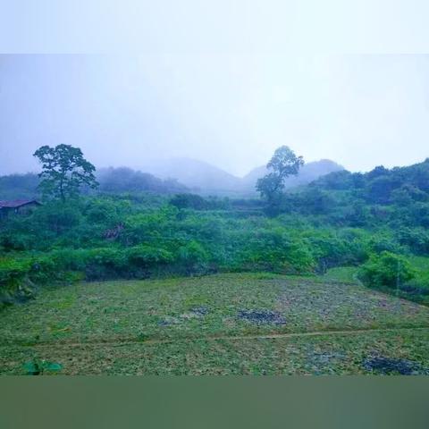 酉沿高速公路最新动态，最新消息汇总