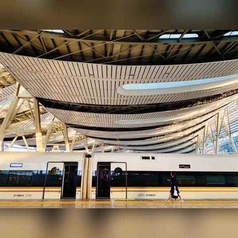 乐清新闻网实时更新，最新消息汇总