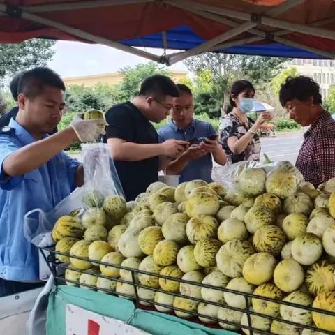九台空港新城最新动态更新,最新消息揭秘