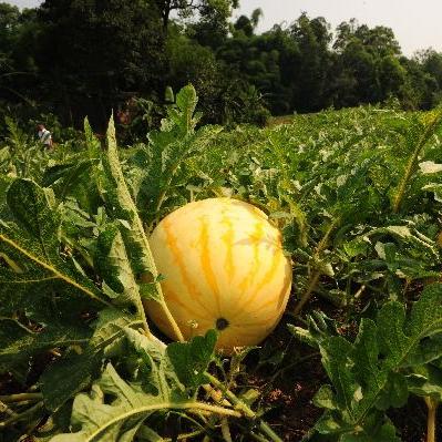 盱眙撤县设市进展更新，最新消息汇总