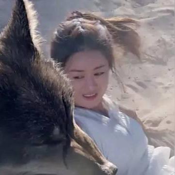 楚乔传最新收视率解析，深度剖析收视率数据