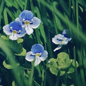 生命缘最新一期探寻生命奇迹与感动