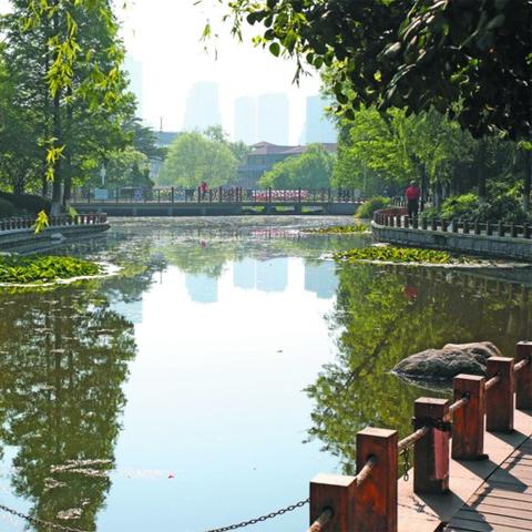 四环生物股票最新消息全面解读