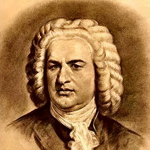 数字时代呼唤与应答，最新动态解析