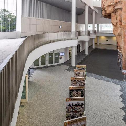 DP最新下载，数字世界全新探索体验