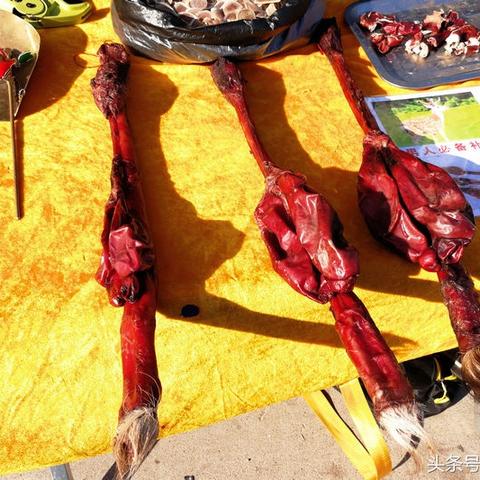 丹参最新价格分析,丹参最新价