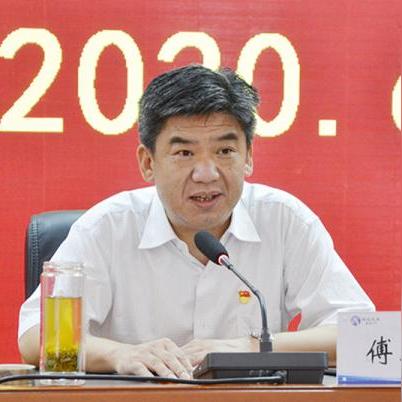 大冶反腐最新进展报告，反腐成果显著