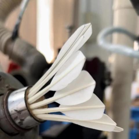 最新鸭毛市场行情分析与价格走势预测