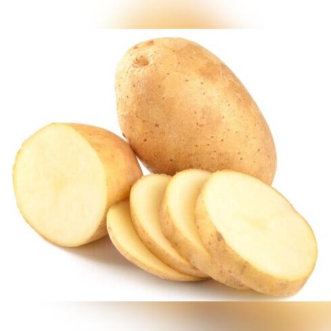 马铃薯最新市场价格分析