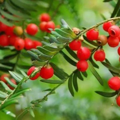 乳源最新新闻动态更新