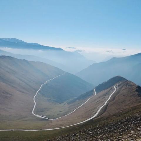 熊猫小米最新动态，科技与自然融合新篇章