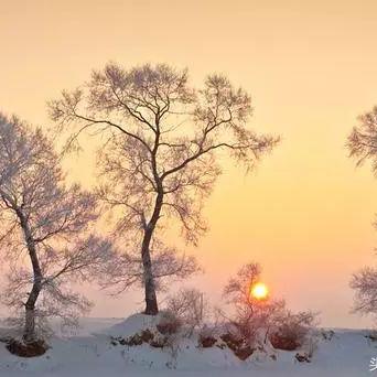 揭秘银温泉，最新数据奇迹展现神秘魅力