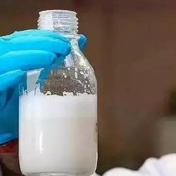 最新奶牛价格走势分析，市场行情概览