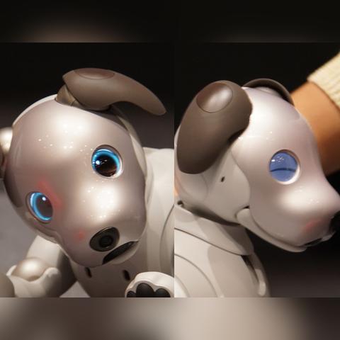 中国消费趋势报告，市场潜力巨大，新兴消费模式揭秘