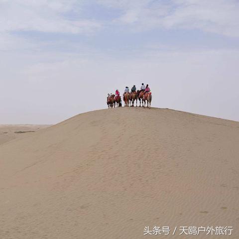 乌鲁木齐钓鱼最新资讯与数据解析