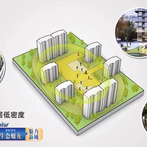 最新限高令，重塑经济秩序的关键举措