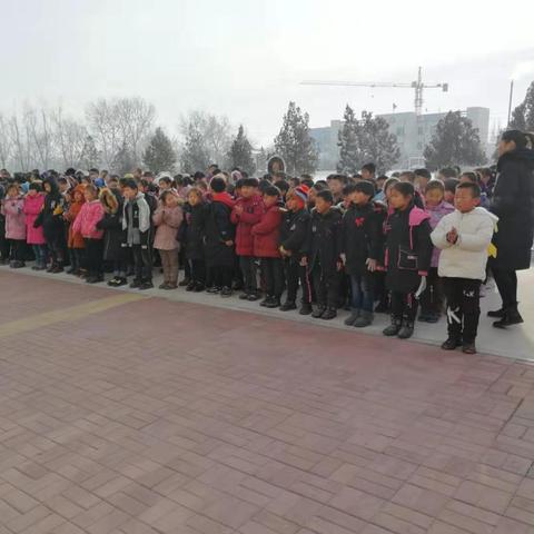 完美校园最新数据报告发布，校园现状深度解析