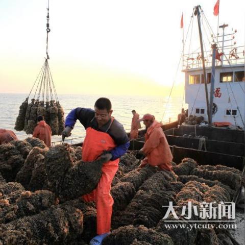 莱州新闻速递，最新报道一览无余