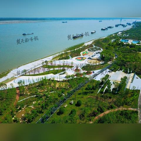 白沙洲江滩最新动态，关注最新消息一网打尽！