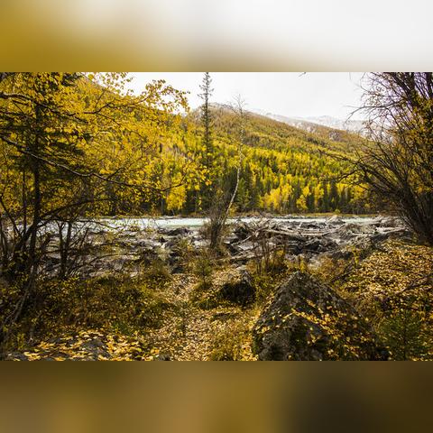 尼康D800最新消息全面解析