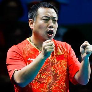 长城大四连体最新价格走势及分析