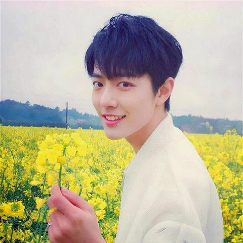 新丽传媒最新动态与分析，最新消息报道