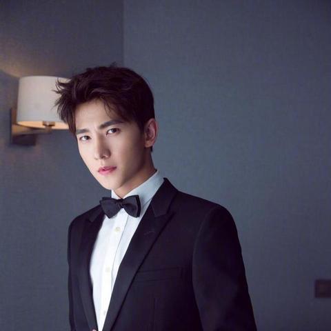 杨洋最新公开消息解析，事业动向与未来展望（XXXX）