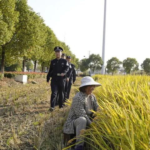 苏州辅警改革最新消息解读