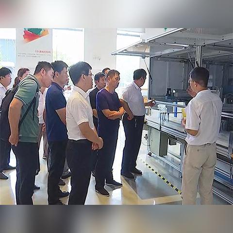 盛通股份最新消息深度解析