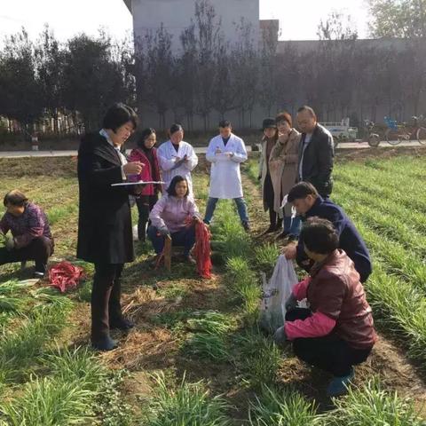 太仓人才市场最新招聘信息全面解析