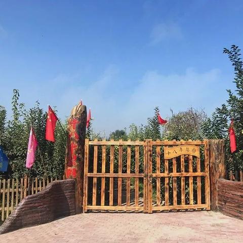 馆陶合作社最新动态消息发布