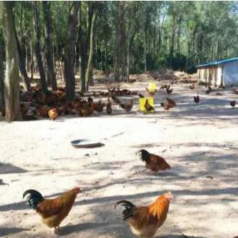 北海市招商引资新动向，引领城市发展的强劲动力