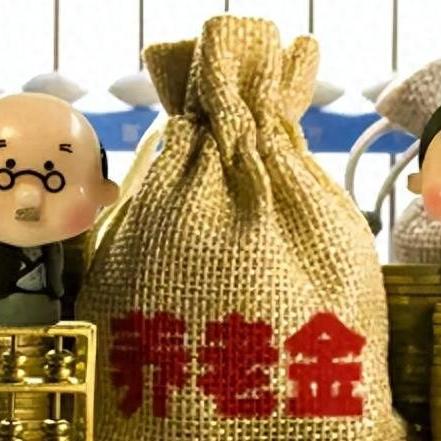 加退休金最新动态，政策调整与变动解析