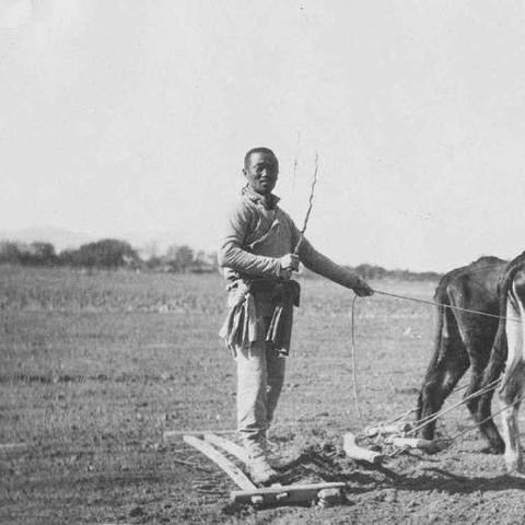 庞大集团最新动态新闻更新速递