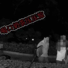 ＂澳门答家婆一肖一马一中一特＂的：数据整合解析计划_优雅版3.63