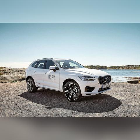 牙齿再生技术前沿动态，2025年最新进展揭秘