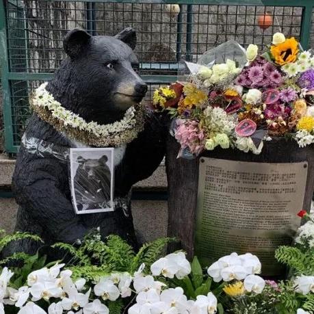 ＂2025年澳门今晚开奖结果＂的：全方位数据解析表述_发布版4.92