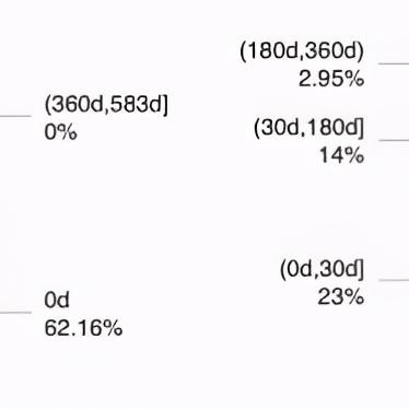 闪电学贷最新版本解读，功能、特点全解析