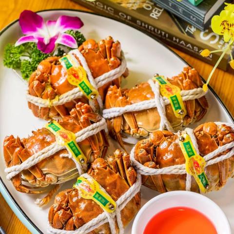 广州岭南广场最新进展揭秘，深度报道进展动态