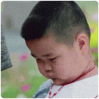 揭秘微信红包群新玩法，2元5包操作指南与揭秘