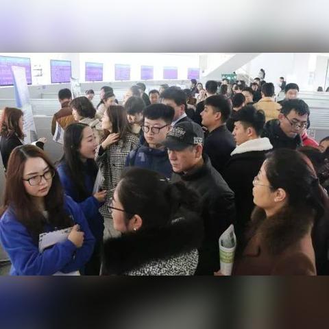 青岛市人才网最新招聘动态解析及招聘信息更新